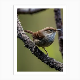 House Wren -Reimagined 19 Art Print