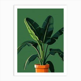 Banana Plant In A Pot 7 Art Print