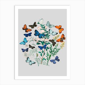 Vintage Flowers Butterfly Floral Illustration Light Grey Art Print