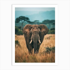 Elephant In The Savannah 1 Art Print