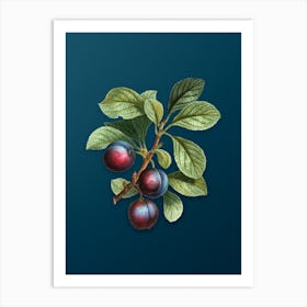 Vintage Cherry Plum Botanical Art on Teal Blue n.0609 Art Print