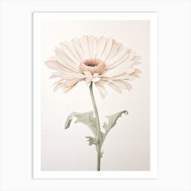 Pressed Flower Botanical Art Gerbera Daisy 1 Art Print