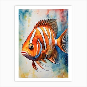 Peppermint Angelfish Art Print