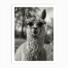 Llama With Glasses 2 Art Print