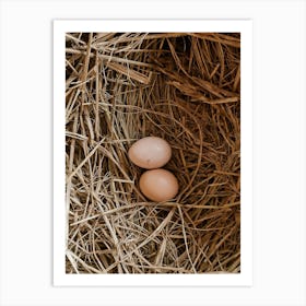 Two Eggs In A Nest 1 Art Print