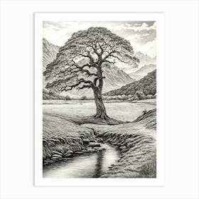 highly detailed pencil sketch of oak tree next to stream, mountain background 7 Art Print