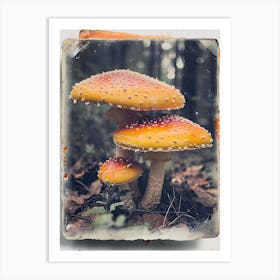 Mushrooms Retro Photo Inspired 4 Art Print