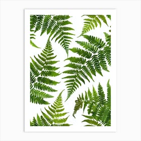 Pattern Poster Boston Fern 1 Art Print