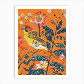 Spring Birds Finch 3 Art Print