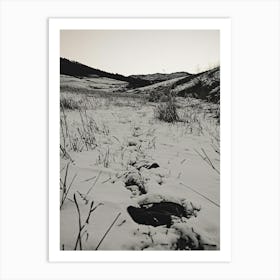 Snowy Path In The Snow Art Print