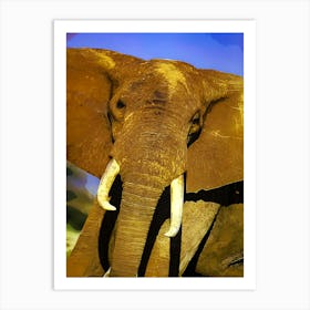 Elephant Living In Its Natural Habitat At Tsavo Ea Art Print