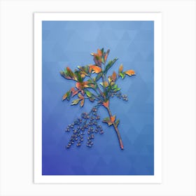 Vintage Shrub Yellowroot Botanical Art on Blue Perennial n.0537 Art Print