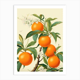 Chinese Tangerines Art Print