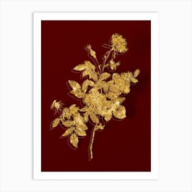 Vintage Alpine Rose Botanical in Gold on Red n.0596 Art Print