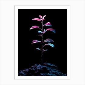 Plant In The Dark 34 Art Print