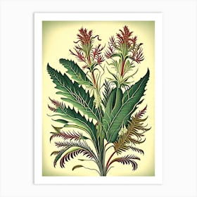 Kangaroo Paw Fern 1 Vintage Botanical Poster Art Print