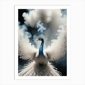 Peacock 22 Art Print