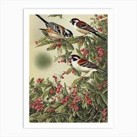 House Sparrow Haeckel Style Vintage Illustration Bird Art Print