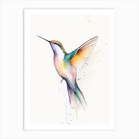 Buff Bellied Hummingbird Minimalist Watercolour 1 Art Print