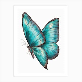 Blue Butterfly Art Print