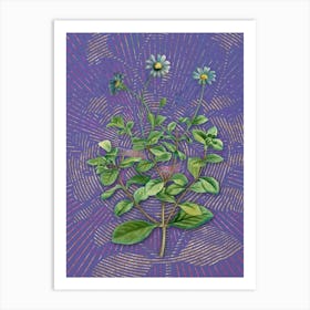 Vintage Blue Marguerite Plant Botanical Illustration on Veri Peri n.0263 Art Print