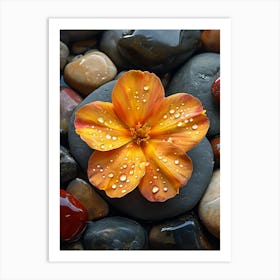 Flower On Rocks Art Print