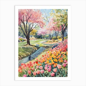 Tulips In Bloom 12 Art Print