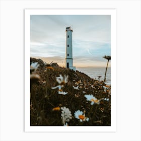 Daisies And Lighthouse Art Print