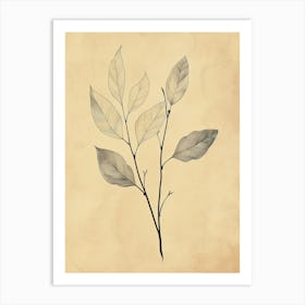 Leaf Branch Boho Minimalist Style Art Print