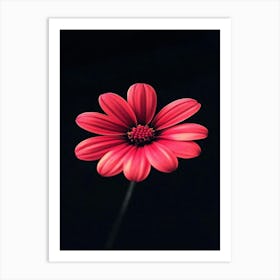 Red Daisy Art Print