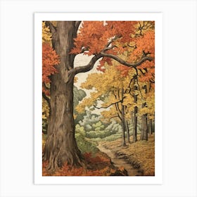 Poplar 3 Vintage Autumn Tree Print  Art Print