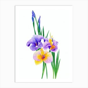 Iris Watercolour Flower Art Print