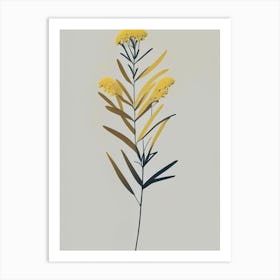 Goldenrod Herb Simplicity Art Print