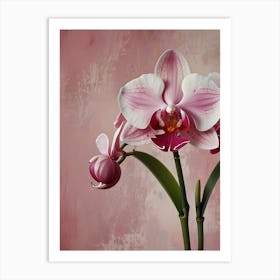 Orchids Art Print