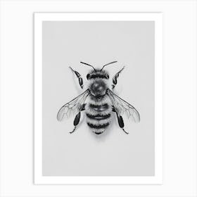 Bee Drawing minimalism Art Print