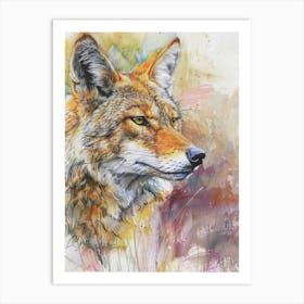 Coyote Pastel Watercolour 1 Poster