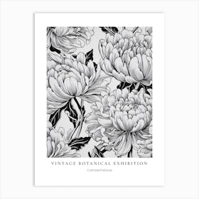Chrysanthemum B&W Vintage Botanical Poster Art Print