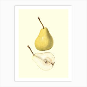 Pears 3 Art Print