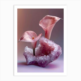 Calla Lily 1 Art Print