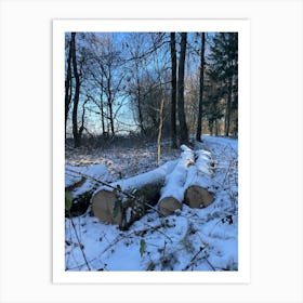 Snowy Forest 9 Art Print