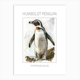 Humboldt Penguin Petermann Island Watercolour Painting 1 Poster Art Print