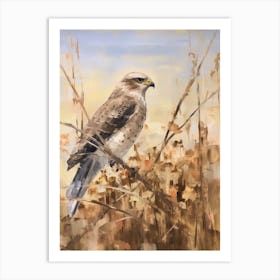 Bird Painting Eurasian Sparrowhawk 3 Art Print