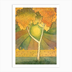 Birch Tree Sun Nature Birch Autumn Art Print