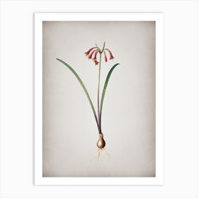 Vintage Brandlelie Botanical on Parchment n.0970 Art Print