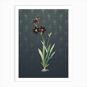 Vintage Ixia Grandiflora Botanical on Slate Gray Pattern n.1092 Art Print