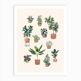 Plants Collection 6 Art Print