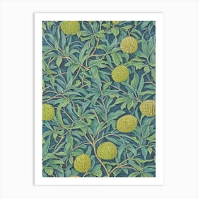 Durian 2 Vintage Botanical Fruit Art Print