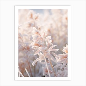 Frosty Botanical Kangaroo Paw 1 Art Print