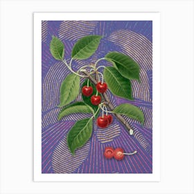 Vintage Sour Cherry Botanical Illustration on Veri Peri n.0410 Art Print