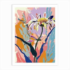 Colourful Flower Illustration Asters 6 Art Print